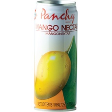 PANCHY Mangonektar, Fruchtsaftgehalt mind. 25 Prozent, Einwegpfand DPG - 1 x 250 ml