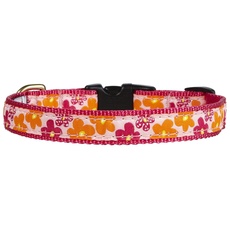 Up Country FLO-C-S Flower Power Hundehalsband, Schmal 5/8 inch, S