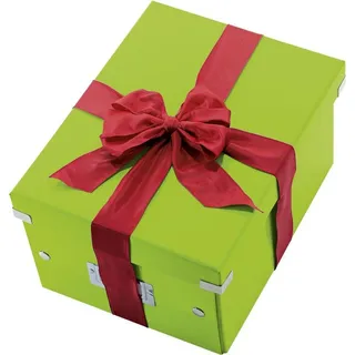 Aufbewahrungsbox Click & Store 28,1 x 36,9 x 20,0 cm 20-tlg. grün