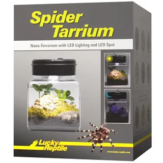 Lucky Reptile SpiderTarrium