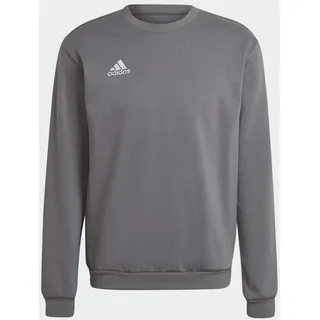 Entrada 22 Sweatshirt Team Grey Four L