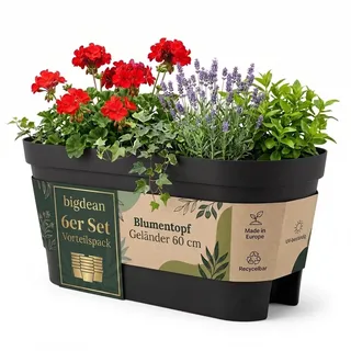 BigDean 6X Blumenkasten Balkongeländer 60cm Anthrazit | Balkonkasten inklusive Halterung, Blumentopf zum Aufhängen, Wasserablauf gegen Staunässe,Balkontopf, Geländertopf