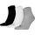 Quarter Plain 3P 3er Pack Mehrfarbig 39-42