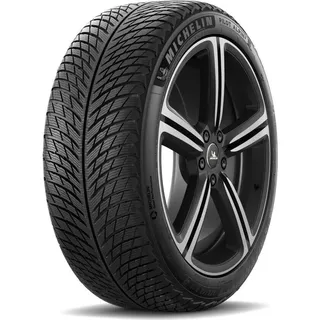 Michelin Pilot Alpin 5 215/65 R16 102H