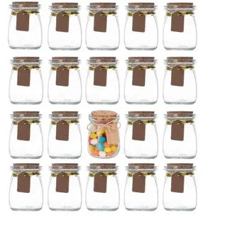 Blleshelfl Mini Glas Dosen mit Deckel Deko, 20 Pack Gläser 100ml mit Deckel