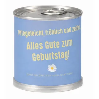 MacFlowers Anzuchtset Gänseblümchen als Geburtstagsgeschenk – Blumendose mit Spruch – Mini Gartenset zum Selbstziehen – originelle Geschenkidee unter 10 EUR – Geburtstag Pfegeleicht