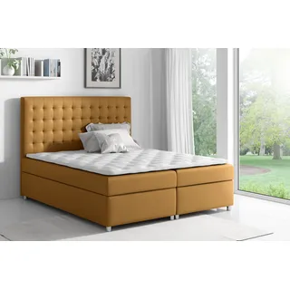 Boxspringbett ANDI , Pocket Matraze Topper , 160 x 200 cm , ( Gelb - Bristol 2449 ) - Gelb