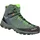Alp Trainer 2 Mid GTX (61382)