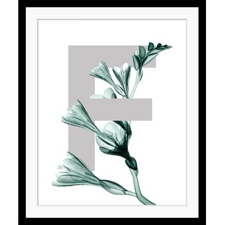 queence Bild »F-Flower«, Buchstaben, gerahmt, Blume, Blätter, grau