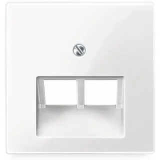 Merten Zentralplatte pws/gl für UAE-Einsatz 2f. 296119