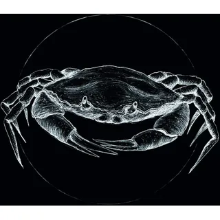 KOMAR Wandbild Crab Black 40 x 50 cm