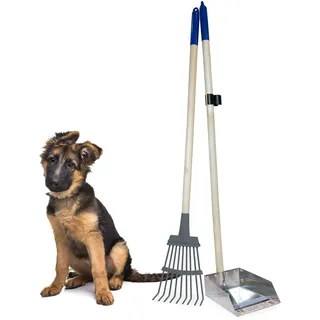 Spotty Kotschaufel mit Holzgriff, langlebig, solides Metall, mit Rechen, 93,3 cm Langer Schaufel, ideal für große oder kleine Hunde, Keine Montage erforderlich, Besser für die Umwelt als Kunststoff