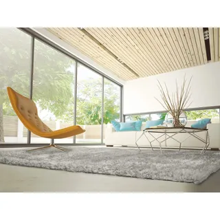 HomeRug Teppich Aloe Silber 80 x 150 cm