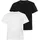 Comfor 3XL