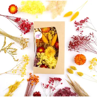 Premium Trockenblumen zum Basteln - Vielfältige Farben, Natürlich Duftend, in Stilvoller Öko-Papierbox - Made in Germany (Warme Töne)