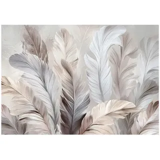 Wallarena Fototapete Federn Abstrakt Beige 300x210 cm , Multicolor , Papier , Uni , Rechteckig , 300x210 cm , FSC 100% ,
