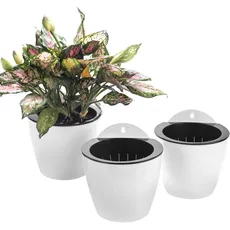 3er-Pack Hängende Pflanzgefäße Selbstbewässernde vertikale Wandmontage Fenster hängen runde Kunststoffbehälter Indoor Outdoor Pflanzen Blumen Küche Living Herbs Holder Dekor Dekoration Weiß 3*Large