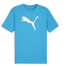 Bild von Puma, Herren, Teamrise Logo Jersey Cotton (M), Blau, M