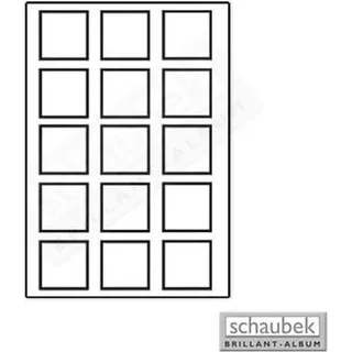 Schaubek Numismatik Münzkollektion Ausziehtablett für Münzkoffer Variant K735