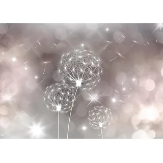 Runa Art Fototapeten 396 x 280 cm Pusteblumen Abstrakt - Vlies Wanddekoration Wohnzimmer Schlafzimmer - Deutsche Manufaktur - Grau Beige 9174012a