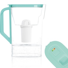 Wessper Karaffe für Kühlschranktür 2,7L, kompatibel mit Brita Classic filterkartuschen, Wasserfilter Kanne mit Filterverschleißanzeige- Set Filterkanne+ Filter- Minze