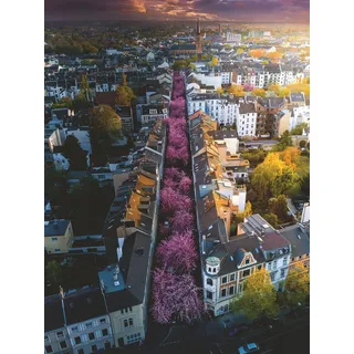 Ravensburger 12000730