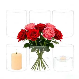 6 stück 8,5 x 10 cm Glaszylinder Vase, Klarglas Blumenvase Zylinder, glaszylinders für Kerzen Glas, Multifunktionale vase Glas, für Kerzen, Blumen, Kieselsteine Muscheln Dekor