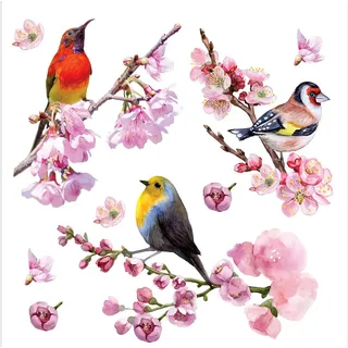 Vögel Küche, Wohnzimmer, Büro, Schlafzimmer Wandstickers, Wandtattoo, Decals von AG Design 30 x 30 cm | SSA 3882
