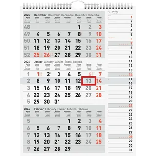 Rido rido/idé 3-Monatskalender 2026 | grau, 300×390 mm