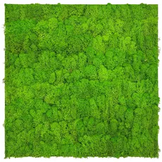 XXXLutz MOOSPANEEL 11102 BRIGHT GREEN Hellgrün - 52x52x4 cm