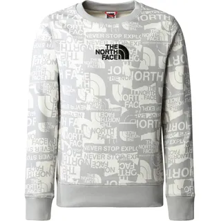 THE NORTH FACE Drew Sweatshirt Meld Grey TNF Brand Proud Print 170