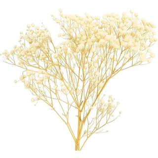 Schleierkraut Getrocknet 100 Stück, Trockenblumen, Schleierkraut, Natürliche Trockenblumen Gelb-Weiß, Voll Erhaltene Blüten Für DIY Dekoration Hochzeit Scrapbooking