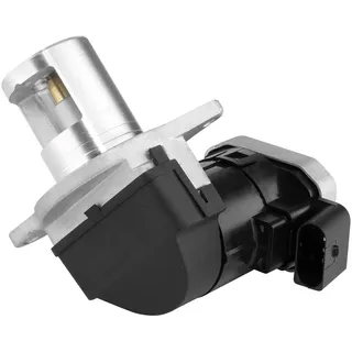 BorgWarner (Wahler) AGR Ventil BORG WARNER 7625D/1