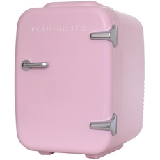 Flamingueo Kühlschrank Klein 4L - Mini Kühlschrank 12V/220V, Mini Fridge, Funktion Kühlen und Heizen, Mini Kühlschrank Retro, Aesthetic Room Decor