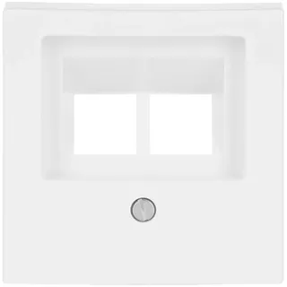 Busch-Jaeger Zentralscheibe 2-fach Busch-balance® SI 2CKA001753A0226