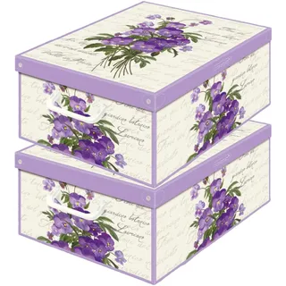 Set aus 2 Aufbewahrungsboxen mit Deckel – Große Kleiderboxen aus Karton 32x42x17,5 cm – Robust, leicht zu montieren, mit Tragegriffen – Perfekt für Kleiderschrank & Saisonwechsel Veichen