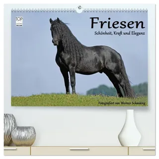 Calvendo Friesen - Schönheit, Kraft und Eleganz (hochwertiger Premium Wandkalender 2026 DIN A2 quer), Kunstdruck in Hochglanz: Friesenpferde - die edle Pferderasse (CALVENDO Tiere)