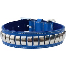 BBD Pet Products Gewölbtes Lederhalsband, Einheitsgröße, 1/4 x 56 bis 63 cm, Königsblau
