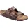 Arizona Birko-flor Sandalen, 203497, Braun,