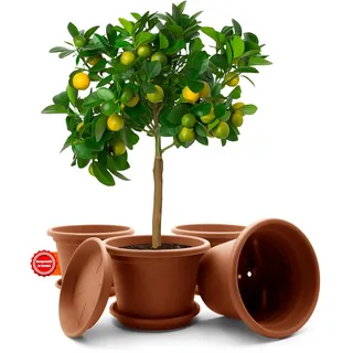 BigDean 4X Blumentopf mit Untersetzer rund ø 35 cm Terracotta wetterfest | wetterfester Pflanzkübel Made in Europe
