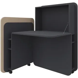 FM Helmets fm FLATup Sekretär graphit/ sandfarben rechteckig, schwarz 107,0 x 41,5 - 91,0 cm