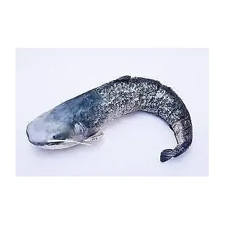 GABY Kissen Kuscheltier Fisch Stofftier Plüschtier Plüschfisch Geschenkidee TOP! - mehrfarbig