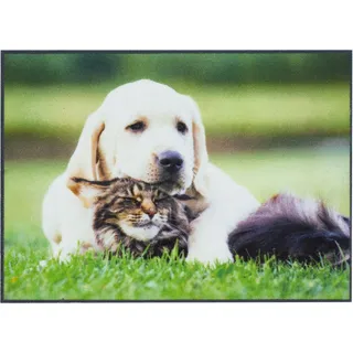 Fußmatte ANDIAMO "Modern", grün (grün, hund, katze), B:40cm H:6,5mm L:60cm, Polyamid, Teppiche, Fußmatte, Schmutzfangmatte, bedruckt, diverse Motive, In- und Outdoor geeignet