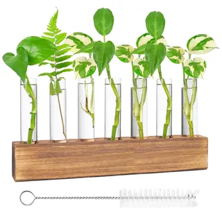 Reagenzglas Vase, Reagenzgläser Für Blumen, Blumenvase Kleine Vasen Glas Reagenzgläser Modern Glasvase Mit Holzständer Reinigungsbürste Für Hydrokultur Pflanzen Home Office Decor(8 Rohr)