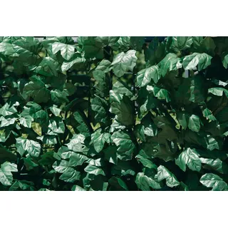 Immergrüne Verdecor-Hecke mit künstlichen Efeublättern