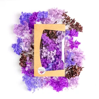 Getrocknete Hortensie Echt - Trockenblumen zum Basteln - Für natürliche Deko - Perfekt für schöne Herbst Dekoration (Lila)