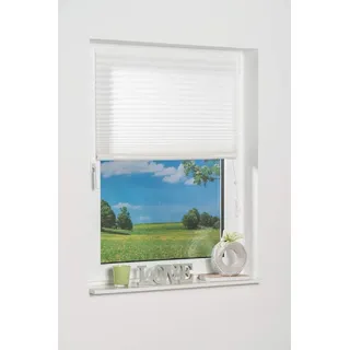 K-home Klebe-Plissee Weiß Lichschutz 40 x 130 (B x L)