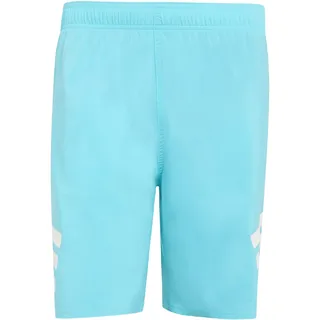 adidas 3-Streifen Badeshorts Lucid Cyan/White XXL