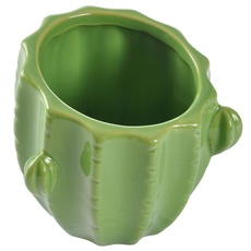 HOMEA 5CAP663VC Behälter aus Keramik, Grün, klein