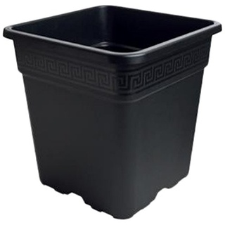 Gro Pro Quadratischer Topf 1 Gallon schwarz